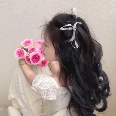 翱翔于天际的夜鹰